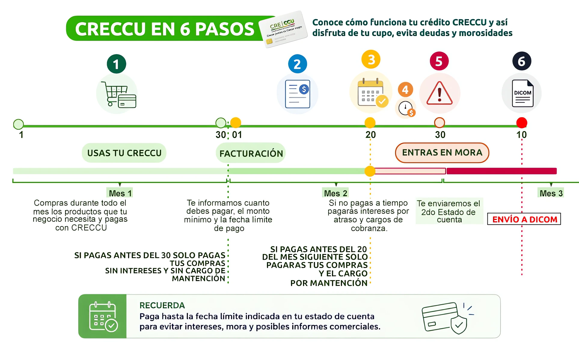Infografía CRECCU en 6 pasos: 1) del día 1 al 30 usas tu CRECCU y compras los productos que tu negocio necesita (si pagas antes del 30, solo pagas tus compras, sin intereses ni cargo de mantención); 2) el día 1 del mes siguiente llega la facturación con el monto a pagar, el mínimo y la fecha límite; 3) si pagas antes del día 20 del mes siguiente, solo pagas tus compras y el cargo por mantención; 4) si no pagas a tiempo se cobran intereses por atraso y gastos de cobranza; 5) el día 30 entras en mora y recibes el segundo estado de cuenta; 6) el día 10 del mes 3 se envía a Dicom. Recuerda pagar hasta la fecha límite de tu estado de cuenta para evitar intereses, mora e informes comerciales.